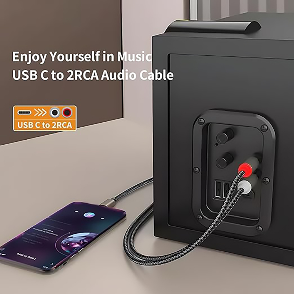 USB C to 2 RCA Audio Cable, Ty - đánh giá và giá Audio Home Cinema